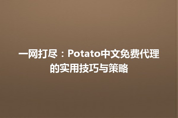 🍟 一网打尽：Potato中文免费代理的实用技巧与策略