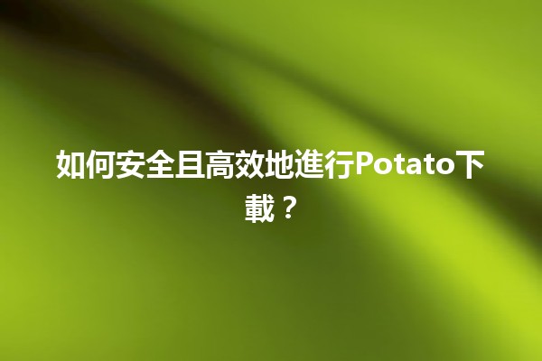 如何安全且高效地進行🌟Potato下載？