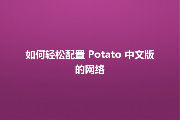 📡 如何轻松配置 Potato 中文版的网络 🔧