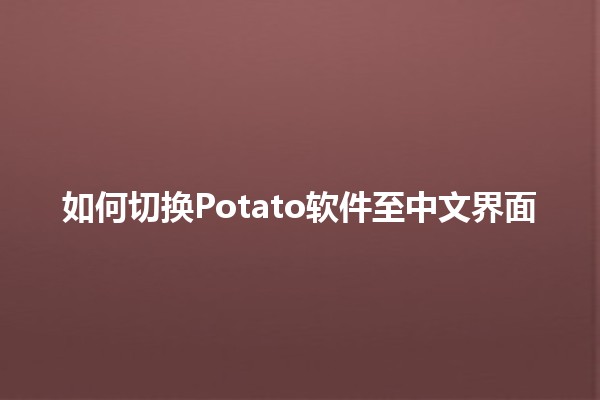 如何切换Potato软件至中文界面🌐