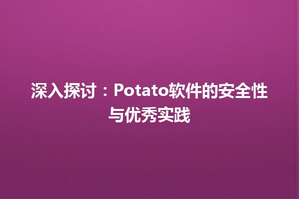 🍟 深入探讨：Potato软件的安全性与优秀实践 💻