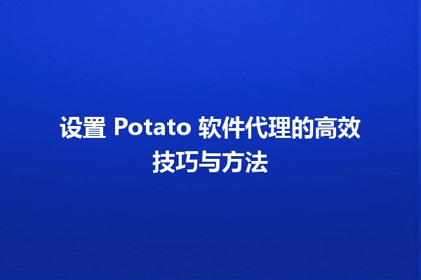 🚀 设置 Potato 软件代理的高效技巧与方法