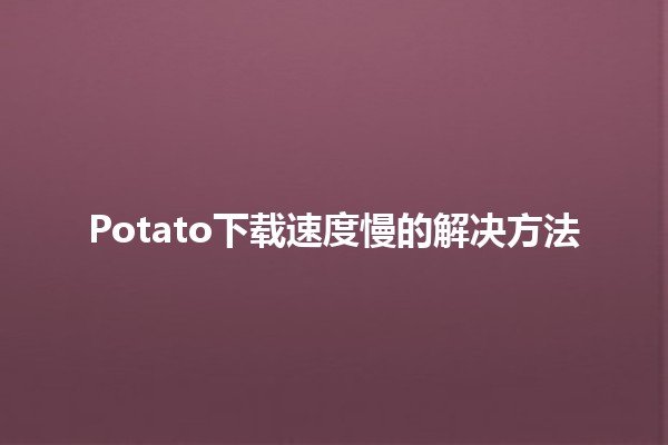 Potato下载速度慢的解决方法🆘✨