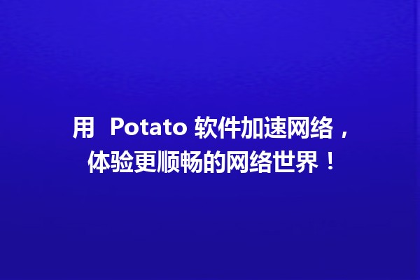 用 🍟 Potato 软件加速网络，体验更顺畅的网络世界！