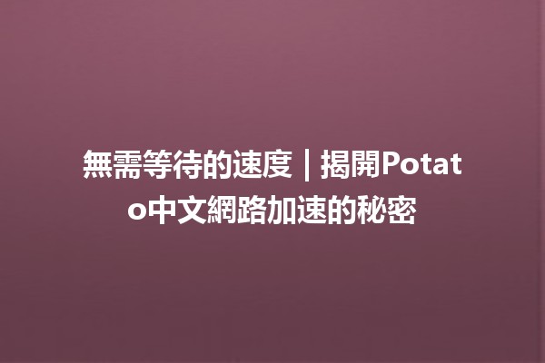 無需等待的速度⚡ | 揭開Potato中文網路加速的秘密