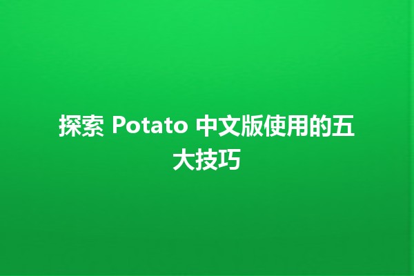 探索 Potato 中文版使用的五大技巧 🥔✨