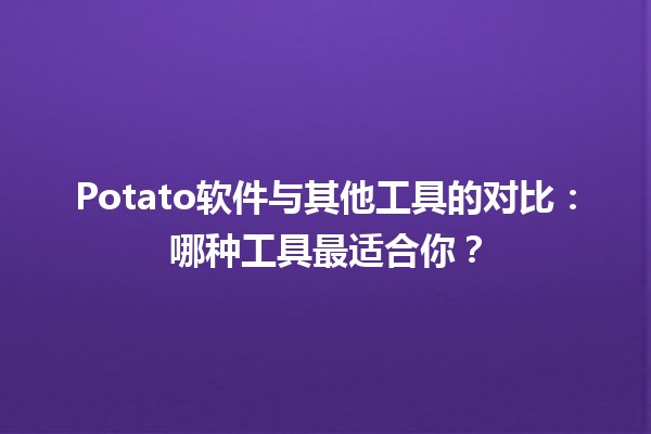 🥔 Potato软件与其他工具的对比：哪种工具最适合你？