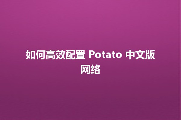 如何高效配置 Potato 中文版网络 🌐🚀