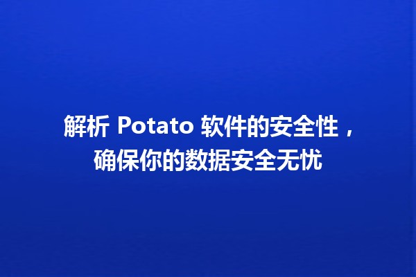 🍟 解析 Potato 软件的安全性，确保你的数据安全无忧 🛡️