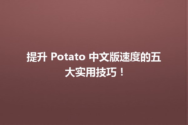 🚀 提升 Potato 中文版速度的五大实用技巧！