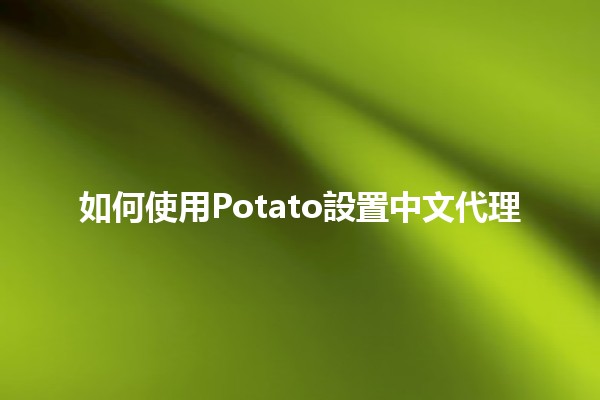 如何使用Potato設置中文代理🌐✨