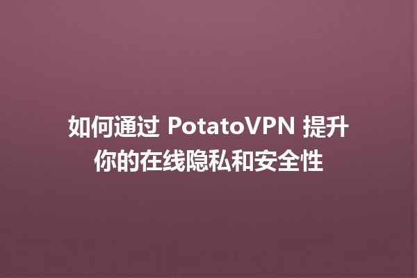 如何通过 PotatoVPN 提升你的在线隐私和安全性🔐🌐