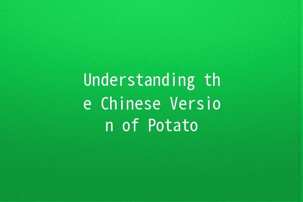 Understanding the Chinese Version of Potato 🍟✨