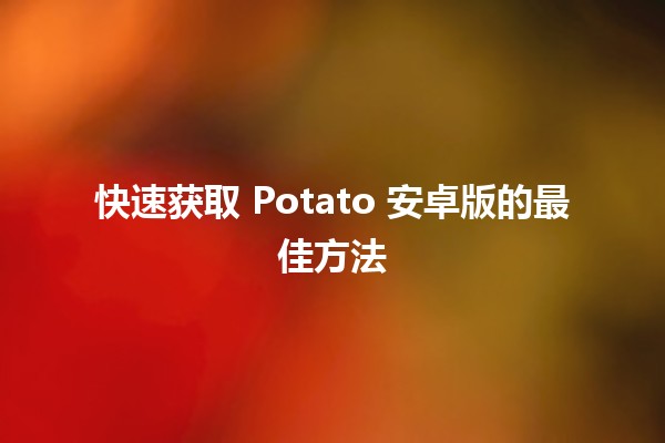 🚀 快速获取 Potato 安卓版的最佳方法