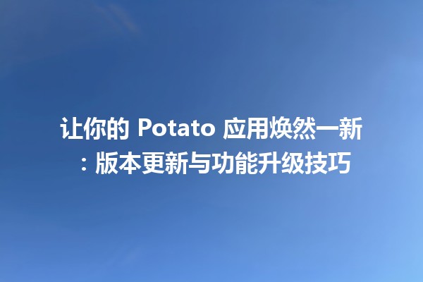 🥔 让你的 Potato 应用焕然一新：版本更新与功能升级技巧