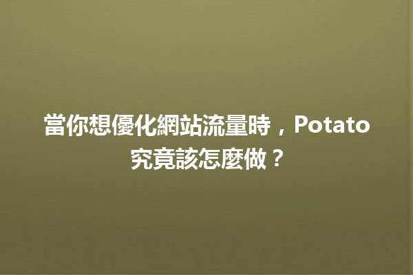 📈 當你想優化網站流量時，Potato究竟該怎麼做？🚀