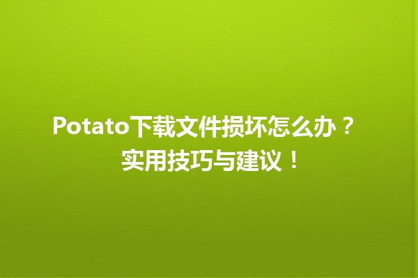 Potato下载文件损坏怎么办？💾🤔 实用技巧与建议！