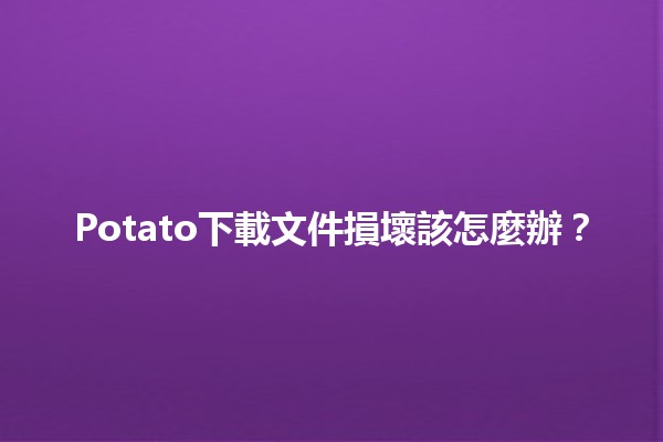 Potato下載文件損壞該怎麼辦？🛠️