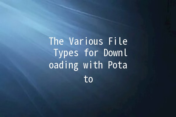 The Various File Types for Downloading with Potato 🥔📥