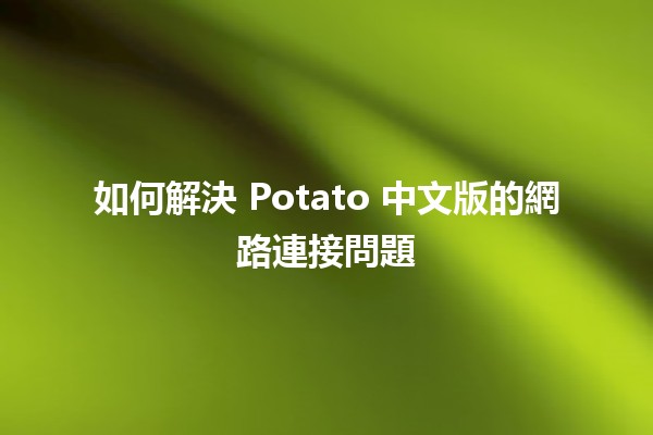 如何解決 Potato 中文版的網路連接問題 🥔🌐