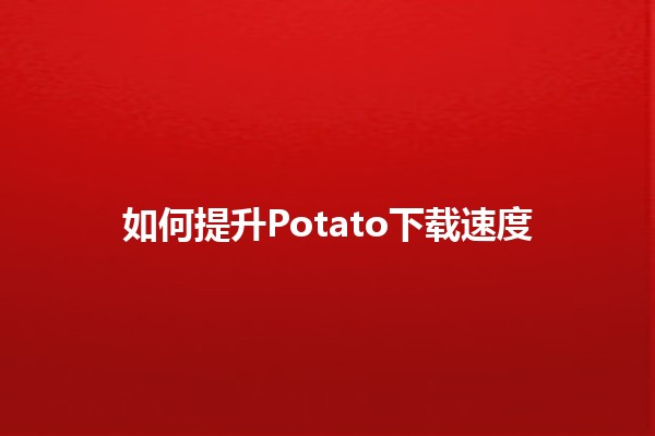 如何提升Potato下载速度⚡️