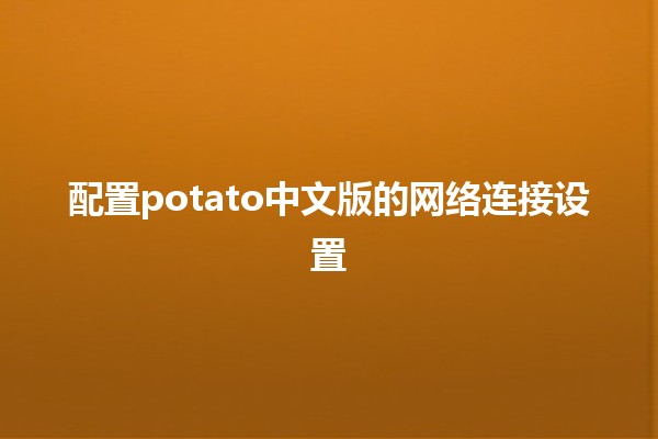 配置potato中文版的网络连接设置 🚀💻