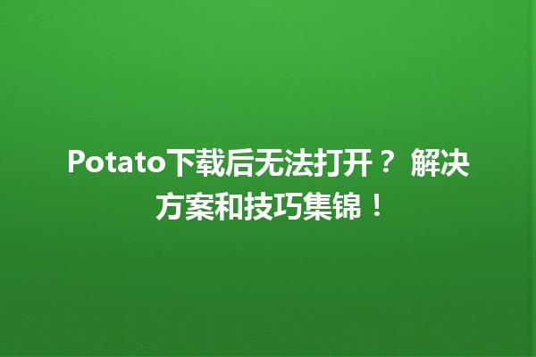 Potato下载后无法打开？✨ 解决方案和技巧集锦！