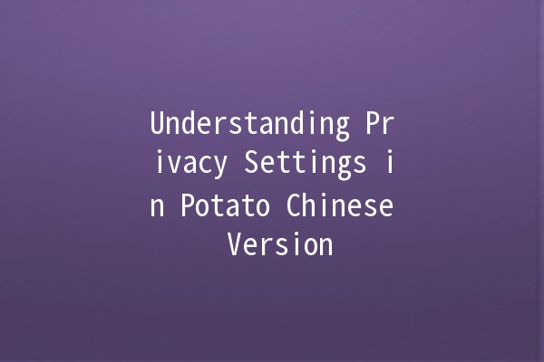 Understanding Privacy Settings in Potato Chinese Version 🍟🔒