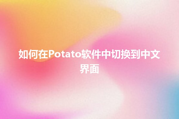 如何在Potato软件中切换到中文界面🌍🖥️