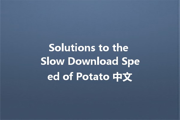 Solutions to the Slow Download Speed of Potato 中文 🥔⚡