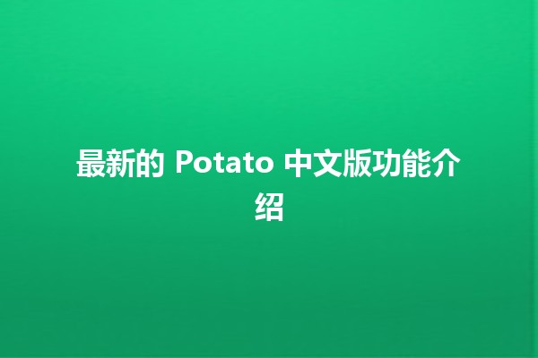 最新的 Potato 中文版功能介绍 🍟✨