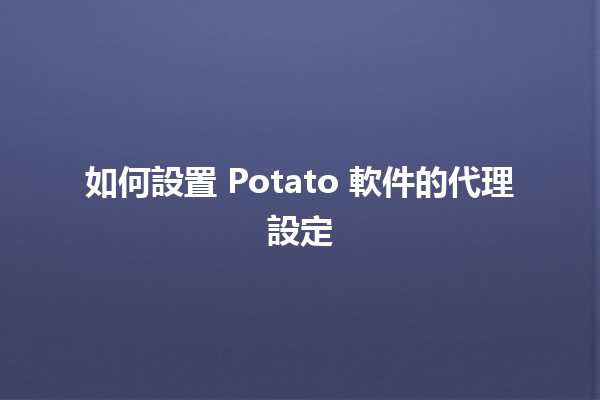 如何設置 Potato 軟件的代理設定 🥔💻