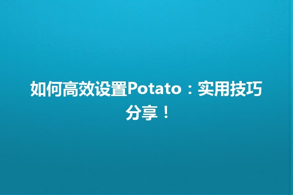 如何高效设置Potato🎮：实用技巧分享！