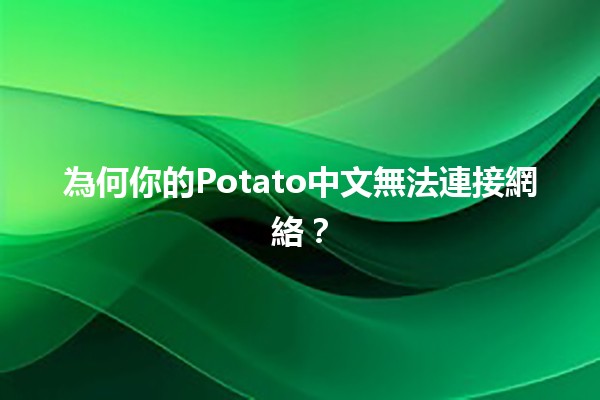 為何你的Potato中文無法連接網絡？🤔🚫