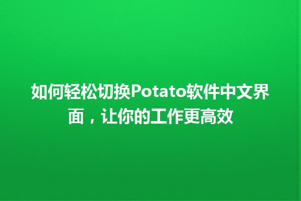 如何轻松切换Potato软件中文界面，让你的工作更高效🌟