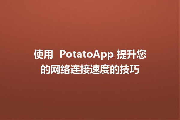 使用 🍟 PotatoApp 提升您的网络连接速度的技巧