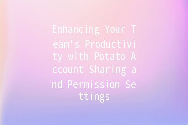 Enhancing Your Team's Productivity with Potato Account Sharing and Permission Settings 🍟🔒