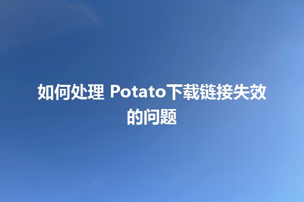 如何处理🍟 Potato下载链接失效的问题