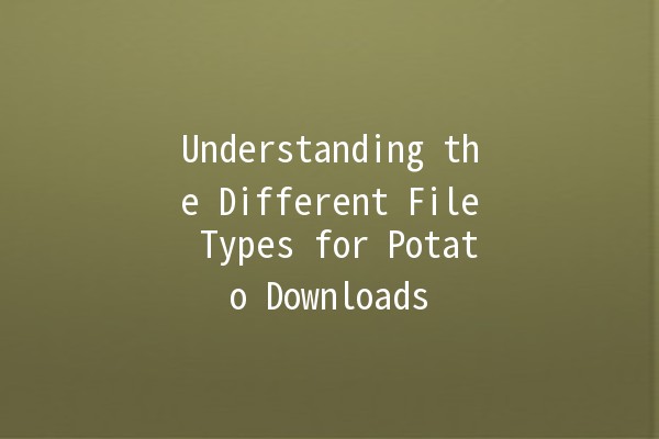 Understanding the Different File Types for Potato Downloads 🚀🥔