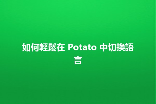 如何輕鬆在 Potato 中切換語言 🌐✨