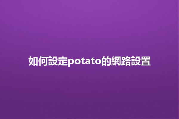 如何設定potato的網路設置 🥔💻