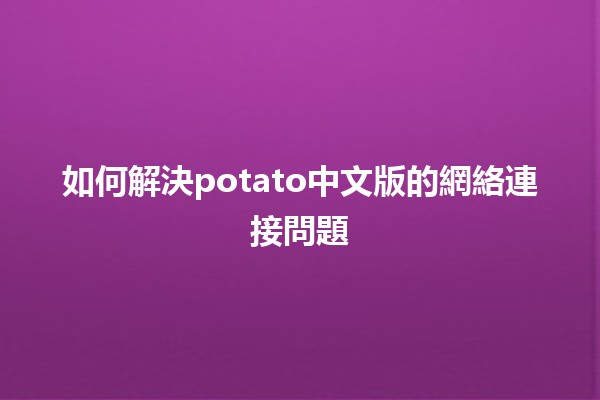 如何解決potato中文版的網絡連接問題 🌐🥔