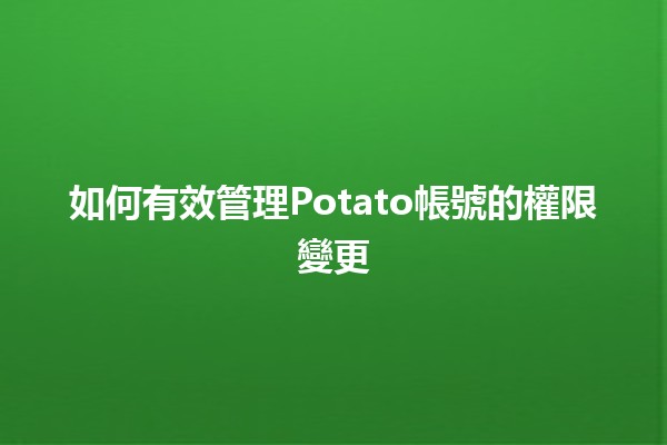 如何有效管理Potato帳號的權限變更💻🔧