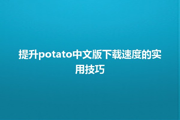 🚀 提升potato中文版下载速度的实用技巧