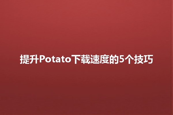 提升Potato下载速度的5个技巧⚡📥