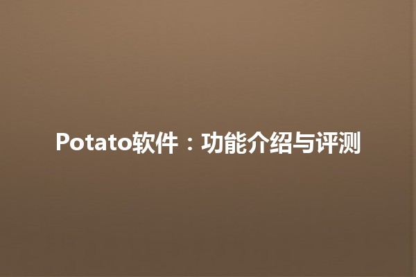 Potato软件：功能介绍与评测🥔💻