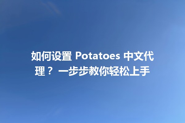 如何设置 Potatoes 中文代理？✨🍟 一步步教你轻松上手