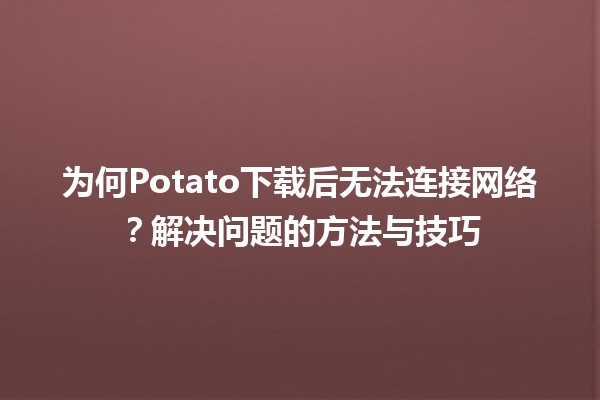 🥔 为何Potato下载后无法连接网络？解决问题的方法与技巧