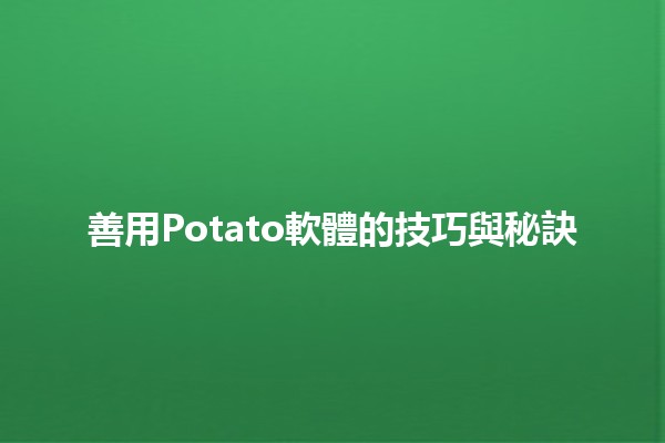 善用Potato軟體的技巧與秘訣🧡