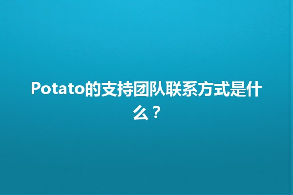 Potato的支持团队联系方式是什么？🥔📞